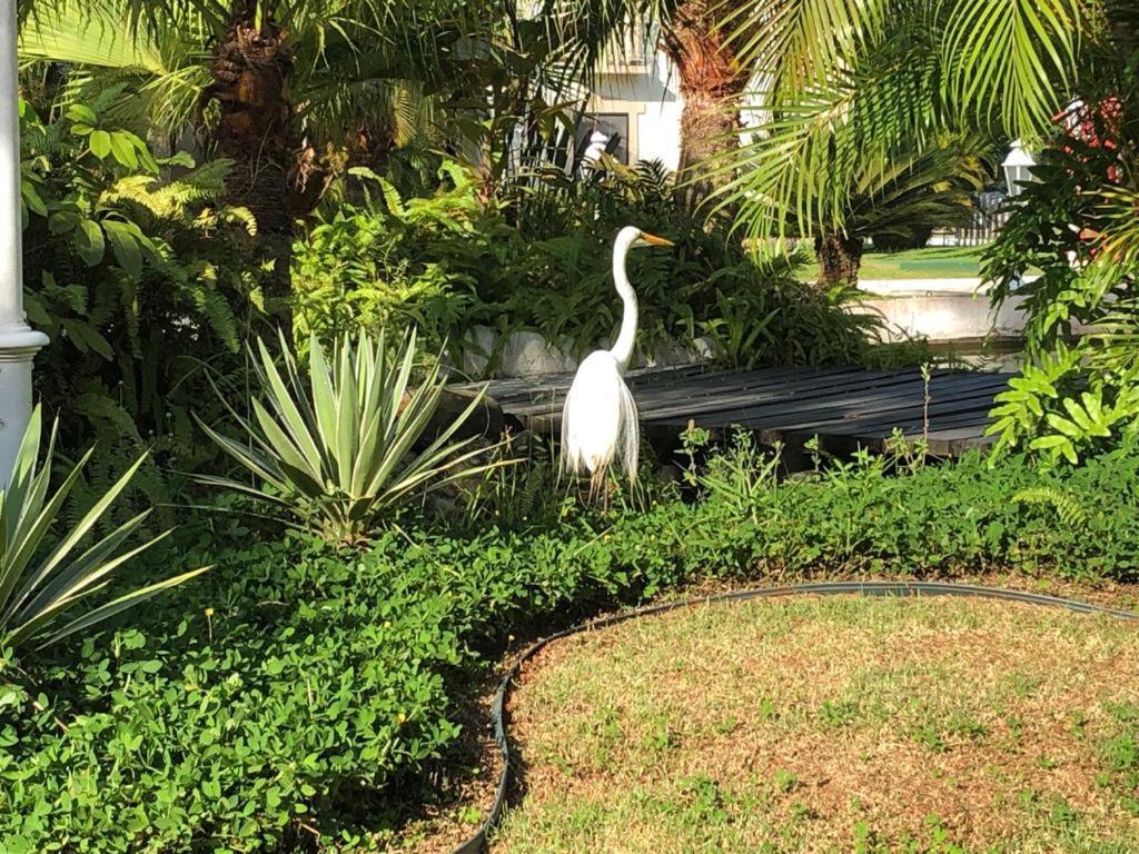 Apartamento Wembley Tenis - Toninhas - Ubatuba Eksteriør bilde
